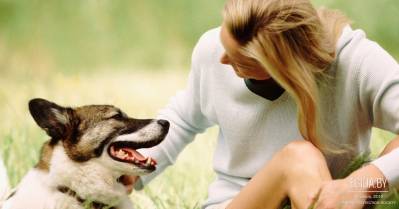 Акция СОС (Спаси Обреченную Собаку)