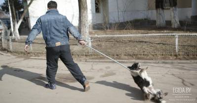 Нет конца этому беспределу! (г.Гродно)