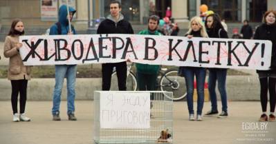 Пулька в голове? Или Фауна в руках «пулькопускателя»...