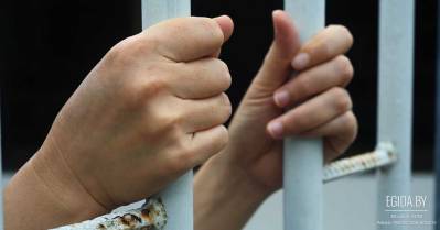 Суд Ленинского района Минска приговорил директора КУП «ЖЭУ-82» Елену Махницкую к административному аресту за жестокое обращение с животными