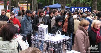 16.08.2009 - Международный день бездомных животных