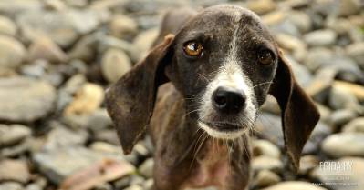 14.08.2009 - Фотовыставка «Шаг навстречу» в Национальной библиотеке Беларуси.