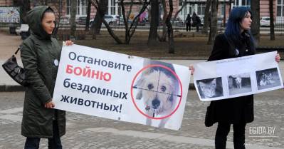 Белорусские зоозащитные организации разработали единый план действий