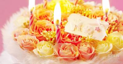 19 декабря 2008 г. - ООЗЖ «Эгида» исполнилось 2 года!