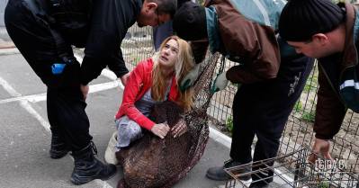 Очередная зверская расправа над владельческим животным ловцами ГП «Фауна города»