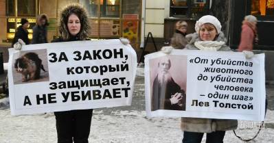 ООЗЖ «Эгида» призывает всех выступить против жестокого обращения с животными в РБ!