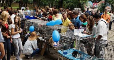 11.08.2012 - Благотворительная акция «Давай поможем!». Парк им.Горького, 13:00