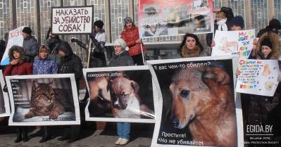 Круглый стол «Животные в городских условиях содержания: права и обязанности владельцев домашних питомцев и проживающих рядом с ними людей».