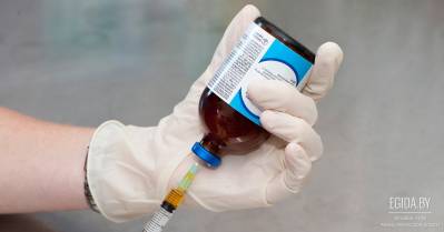 Ещё одно жестокое убийство службой отлова. На этот раз в Могилёве...