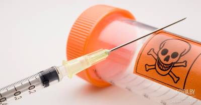 В Новогрудке службами ЖКХ жестоко и цинично убита домашняя собака Жульен!