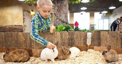 Итоги проверок контакт-зоопарков