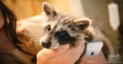 Контактные зоопарки в Минске. Польза или вред? Выбор за Вами!