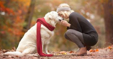 Еще есть шанс с Вашей помощью повлиять на то, чтобы в Беларуси был принят закон, который реально защитит права животных