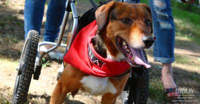 Убить нельзя, оставить жить!