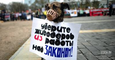 Как Вам это нравится, или еще раз о законопроекте «Об обращении с животными»