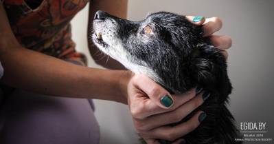 Для счастья Малышу нужно совсем немного: любящее сердце рядом и немного побегать на коляске!