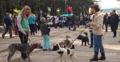 04.10.2014 - Благотворительная акция «Давай поможем!», парк им. 50-летия Октября, 13:00