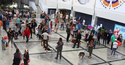 18.01.2015 – Благотворительная акция «Давай поможем!», Дворец детей и молодёжи, 13:00