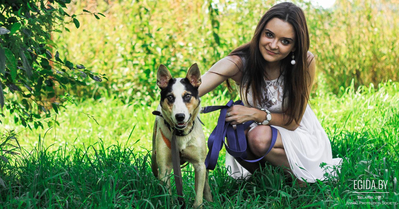 Выживший в скотомогильнике немой свидетель Пион. Кто ответит за истязание животных?