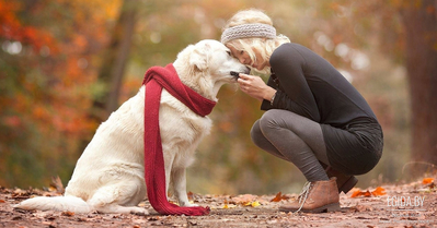 06.10.2018 – К Международному дню защиты животных благотворительная акция «Быть Добру!», парк Тиволи, 13:00-18:00