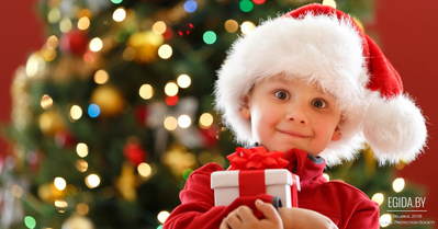 Администрация сайта EGIDA.BY и ООЗЖ «Эгида» от всей души поздравляют Вас с наступающим Новым 2018 годом и Рождеством!