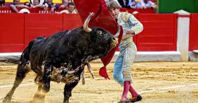 Коррида - кровавое развлечение дикарей. Объединим усилия против корриды в Минске.