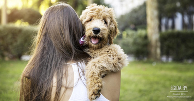 13.08.2016 – Благотворительная акция «Быть Добру!», парк Тивали, 12:00-17:00