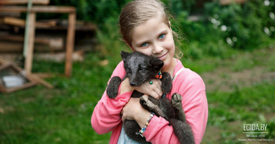 Центру по спасению диких животных «Сирин» необходима Ваша помощь