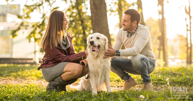10.04.2022 - Благотворительная акция «Дорога домой!», арт-пространство «Фабрика», 13:00-18:00