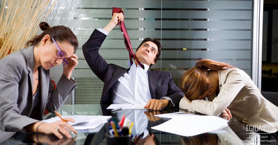 Проект постановления «О вопросах по обращению с животными». Позиции зоозащитных организаций во многом снова остались неуслышанными