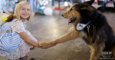 Дети в защиту животных. Республиканский флешмоб «Маленькие большие друзья»