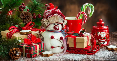 Администрация сайта EGIDA.BY и ООЗЖ «Эгида» от всей души поздравляют Вас с Рождеством и наступающим Новым 2022 годом!