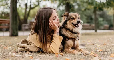 16.08.2025 - Благотворительная акция «Дорога домой», пространство «Lidbeer Dvor», 13:00-18:00