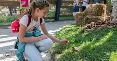 Агроусадьба «Натюрлих» - место, где спасают диких животных: гармония природы и заботы