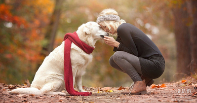01.10.2023 - Благотворительная акция «Дорога домой», пространство «Flame Place», 13:00-18:00