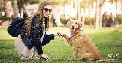 Нужно ли чипировать кошек и у кого изымут опасную собаку. Важные моменты нового закона о животных