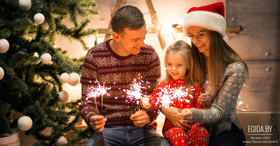 Администрация сайта EGIDA.BY и ООЗЖ «Эгида» от всей души поздравляют Вас с Рождеством и наступающим Новым 2024 годом!