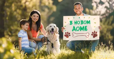 24.05.2025 - Благотворительная акция «Дорога домой», пространство «Lidbeer Dvor», 13:00-18:00