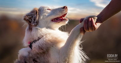 26.03.2023 - Благотворительная акция «Дорога домой!», арт-пространство «Фабрика», 13:00 - 18:00