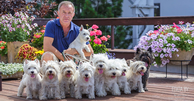 Золотые правила Оппенгеймера по разведению собак