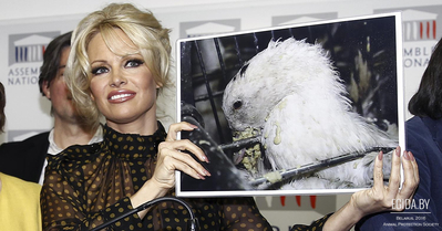 Известные вегетарианцы