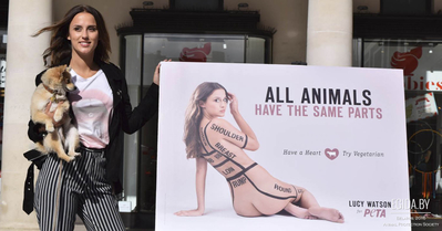 Звезды-вегетарианцы: выбор сердца или грамотный PR?