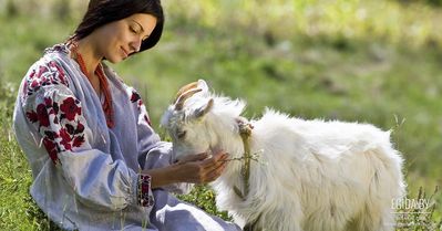 Документальный фильм «Жизнь прекрасна»