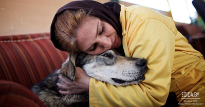 Как успокоить собаку из приюта