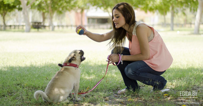Механическая собака