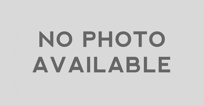 Инвентарь для ухода за собакой и ее шерстью