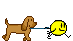 doggy8